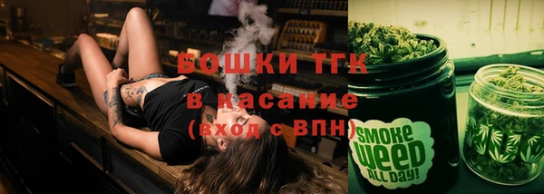 дмт Нягань