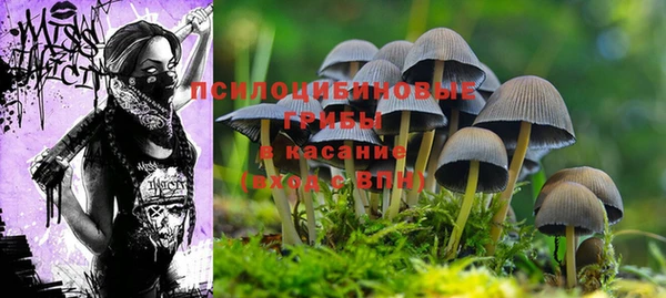 mdma Няндома