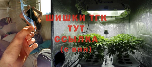 дмт Нягань