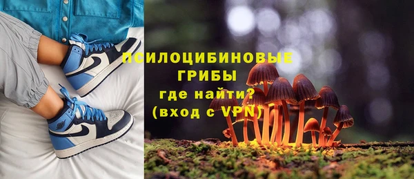 mdma Няндома