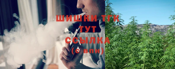 дмт Нягань